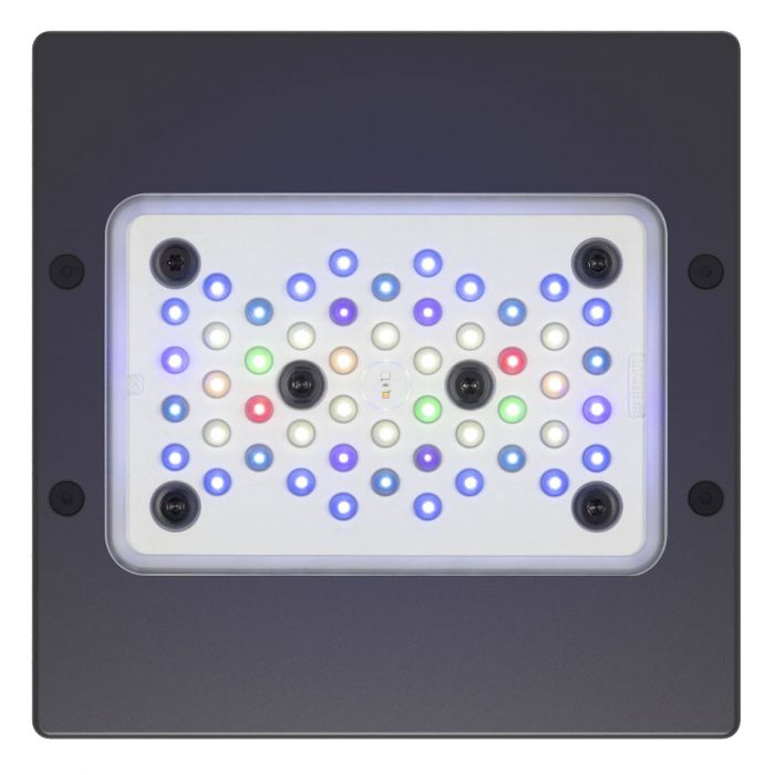 Radion XR15 G6 Blue LED Light Fixture EcoTech Marine Seattle