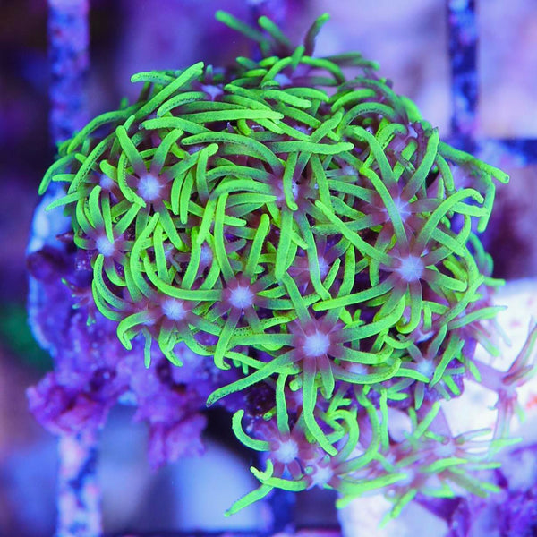 448735691_1189579678859278_560