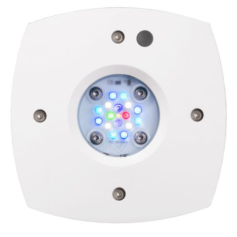 Prime 16 HD LED Reef Light - White Body - Aqua Illumination